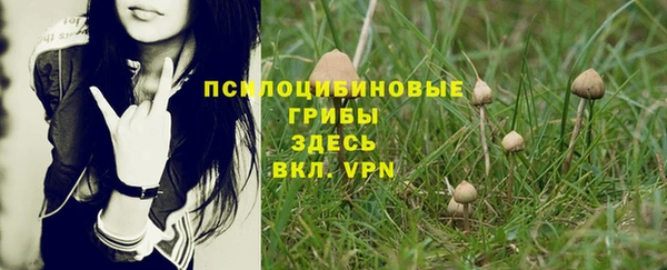 кокаин колумбия Бородино