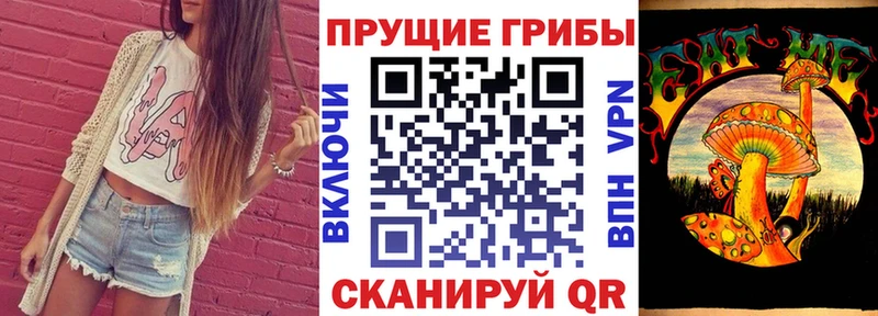 Галлюциногенные грибы Psilocybe hydra как зайти Нижневартовск